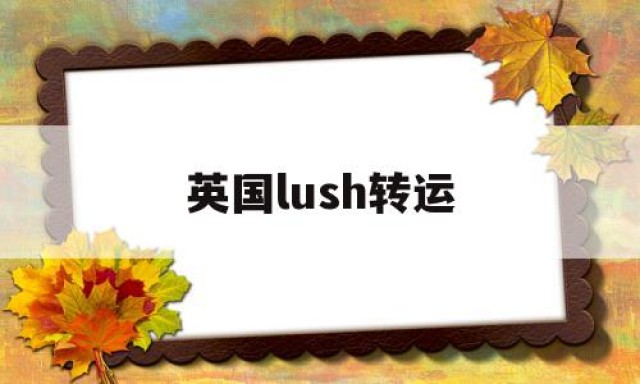 英国lush转运